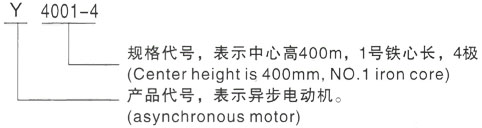 西安泰富西玛Y系列(H355-1000)高压YJTGKK6301-6三相异步电机型号说明